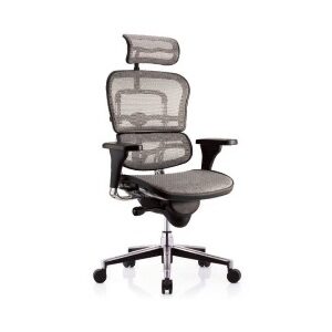 Ergohuman chair